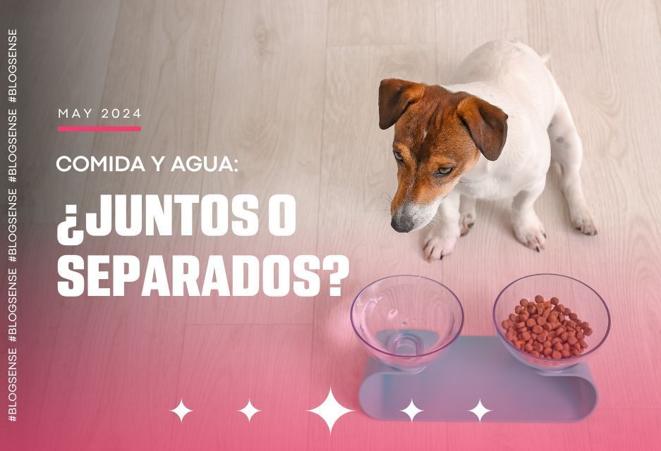 Comida y Agua: ¿Juntos o Separados?